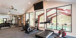 Village Gardens Gallery 8