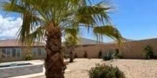 41867 Regona Road Gallery 46
