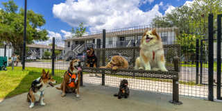 Ridgemar Commons Gallery 16