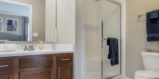 Bedford Place Apartments Gallery 8