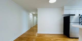 vet182 Gallery 6