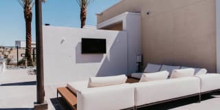 Tanager Tanager Gallery 15