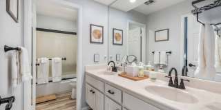 Ocotillo Private Oasis & Pool (May - October Monthly Only | No Long Term Rentals) Gallery 82