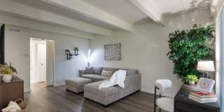 Harvard Square Apartments Gallery 6