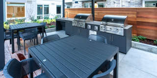 Alexan Main Street Gallery 67