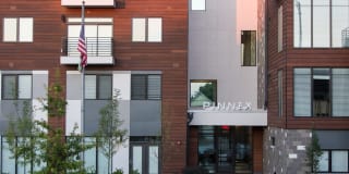 Pinnex Gallery 60
