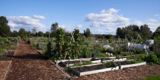 Old Town Lofts Gallery 35