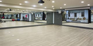 The Brand Gallery 47