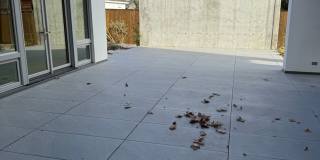 Silver Maple Stunning Gallery 36