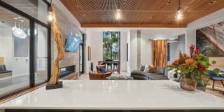 Leva on Market Gallery 21