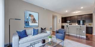 Walden Lakes Gallery 4