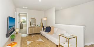 Coral Palms at Oakleaf Gallery 12