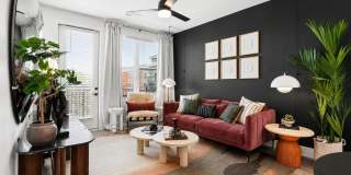 Cavella Gallery 8