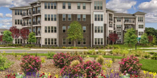 Sycamore at Christenbury Gallery 1