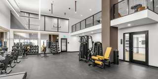 District 225 Gallery 16