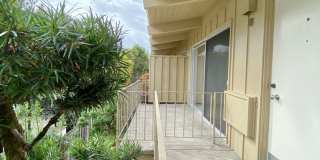 1 Bed/1 Bath -Next to Whole Foods Gallery 1