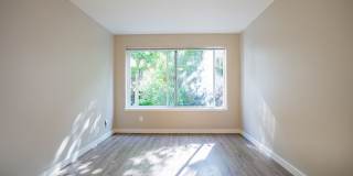 1800 Eastlake Apts (Scenic) Gallery 16