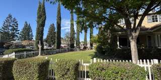 4101 Rose Parade Gallery 5