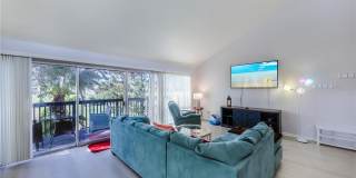 722 WHITE PINE TREE ROAD Gallery 4