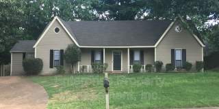 7019 Shadow Oaks Dr Gallery 1