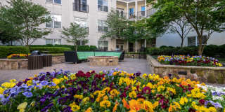 Park & Market Gallery 21