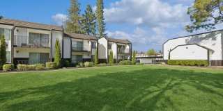 Arrive Sonoma Ridge Gallery 20