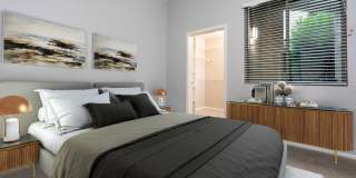 Paragon at Old Town Gallery 41