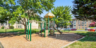 Cinnamon Run at Peppertree Farm Gallery 24