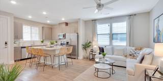 Town Arlington Gallery 23