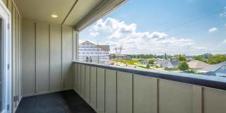 1974 Addi Ln Gallery 45