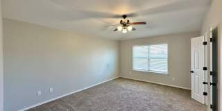 Viewable Now!  Small Dogs Accepted! Gallery 16