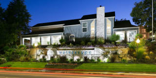 Waterscape Gallery 6