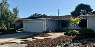 Beautiful 4 Bedroom 2 Bath Home in Desirable Sunnyvale Neighborhood Gallery 1