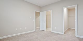 5137 Foxtail Pine Street Gallery 23