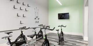 Cortland World Gateway Gallery 19