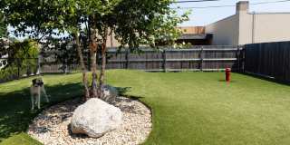 Avalon Norwood Gallery 26