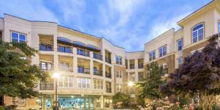 The Arboretum Apartments Gallery 50
