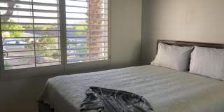 78989 Apricot Lane Gallery 8