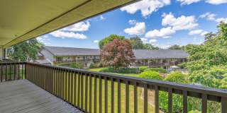 The Maples Gallery 25