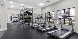 Alvista Hollywood Gallery 27