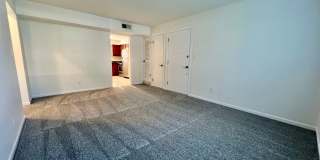 Eleanor Gallery 6