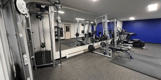 Windsor Gates Gallery 8