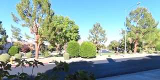 1623 Cave Spring Drive Gallery 26