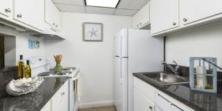 Set Point Set Point Gallery 19