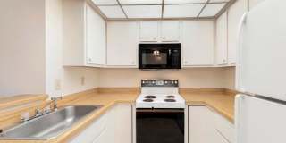 Westchester Square Gallery 24