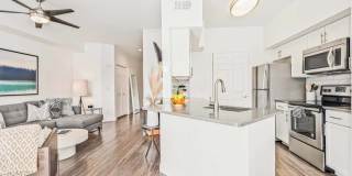 The Soleil Gallery 23