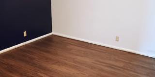 279 Quince Street Gallery 1
