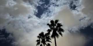 35082 Mission Hills Drive Gallery 26