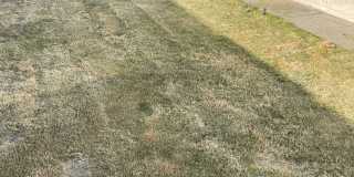 5013 Joe Castillo St Gallery 25