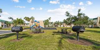 Buena Vista Gallery 98